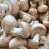 Organic Almond Agaricus Mushroom Sawdust Spawn
